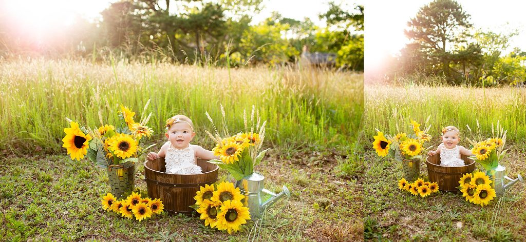 south-jersey-sunflower-photo