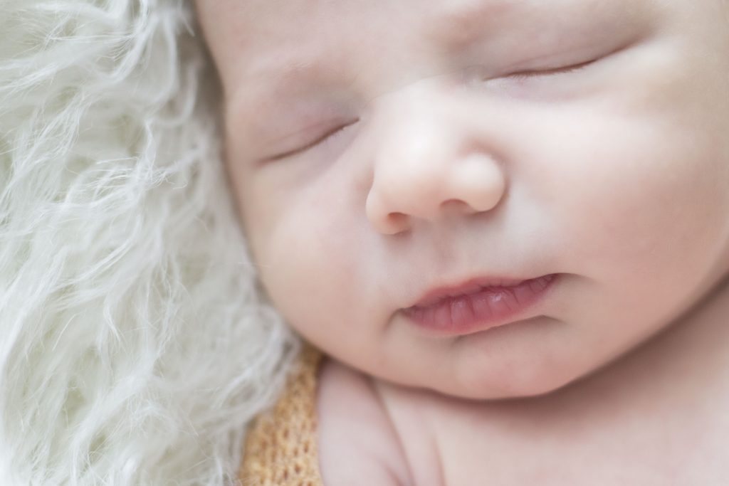 Newborn Portrait Studio in Galloway NJ