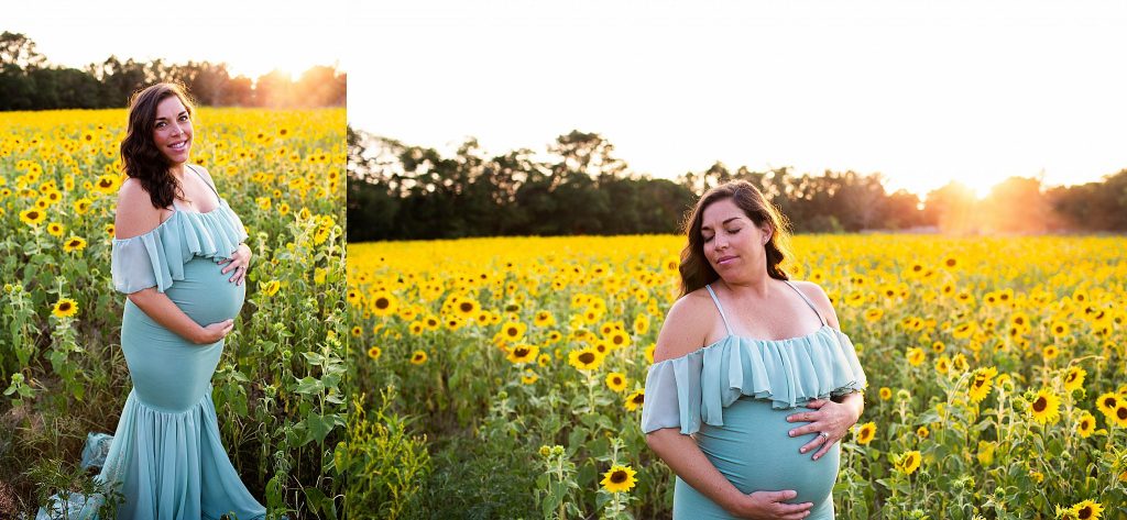 south-jersey-sunflower-photography