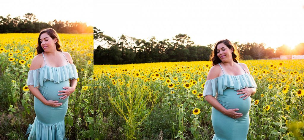 south-jersey-sunflower-photography