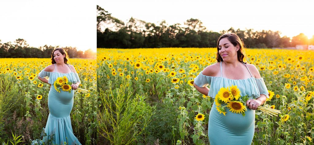 south-jersey-sunflower-photography