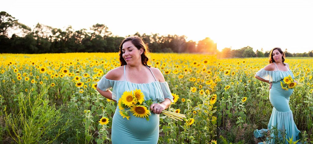 south-jersey-sunflower-photography