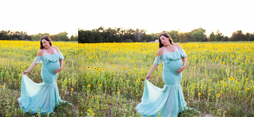 south-jersey-sunflower-photography