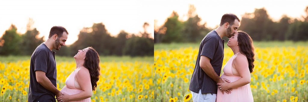 south-jersey-sunflower-photography