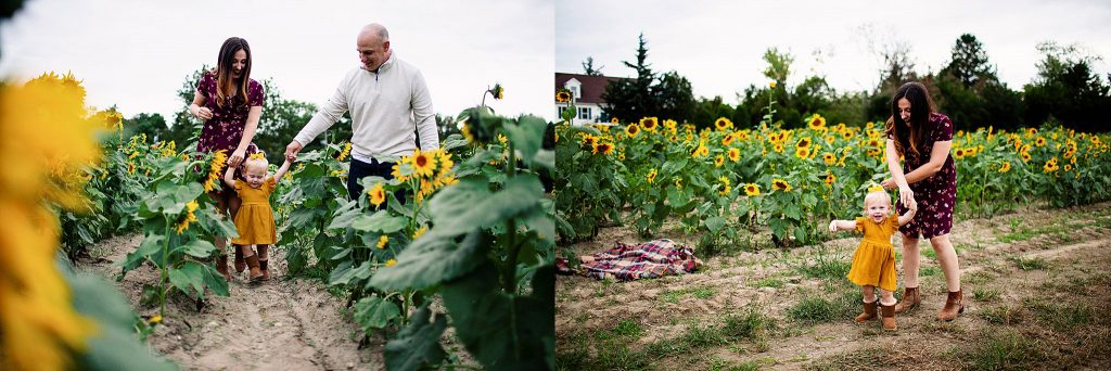 South Jersey Sunflower Family Photography