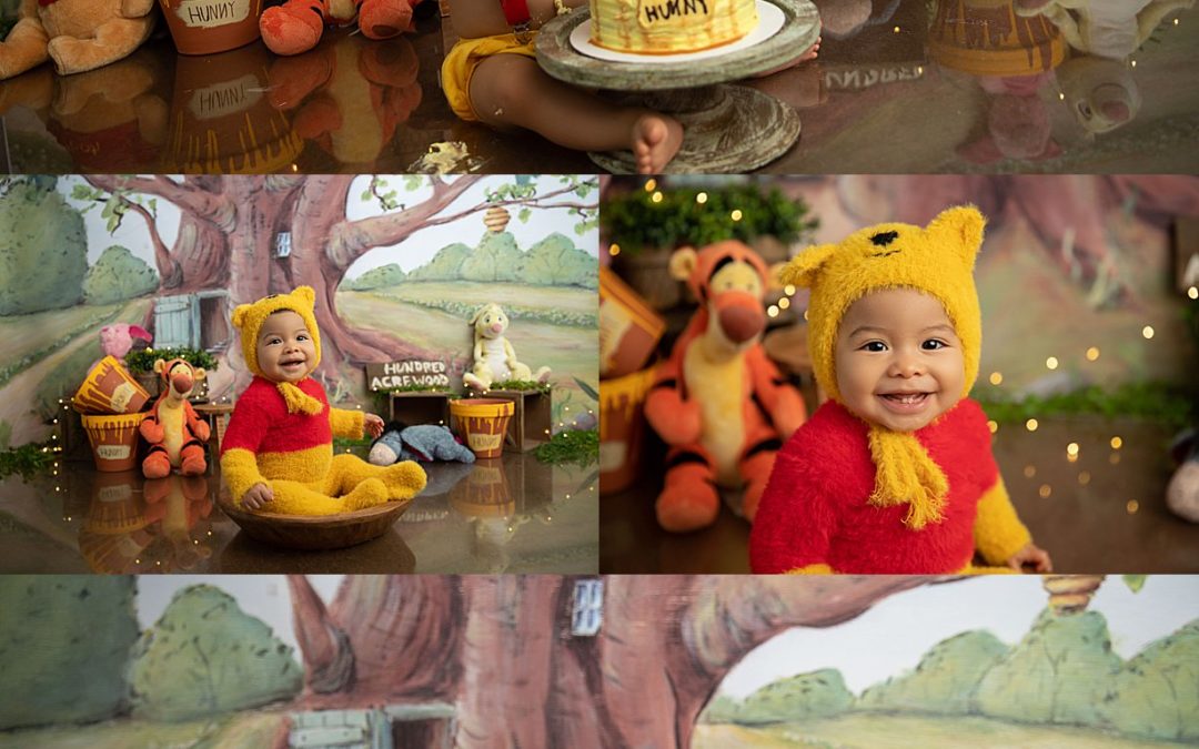 Winnie the Pooh First Birthday Cake Smash Photoshoot | New Jersey Cake Smash Photography